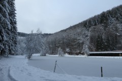 IMG_8489