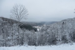 IMG_8501