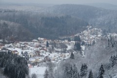 IMG_8503