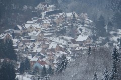 IMG_8506