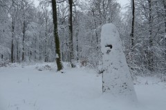 IMG_8528