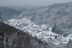 IMG_8533
