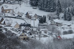IMG_8534
