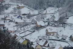 IMG_8535