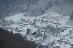 IMG_8536