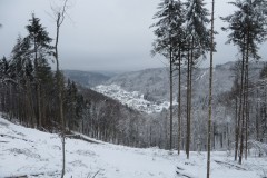 IMG_8543